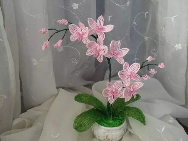 Орхидеи выглядят очень красиво