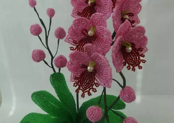 Вознесение черной орхидеи (fb2)