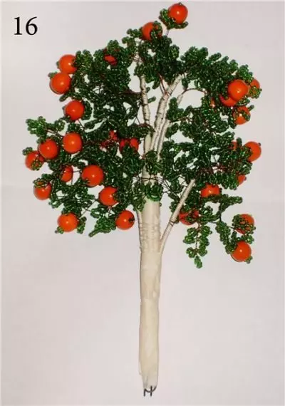 Апельсиновое дерево своими руками